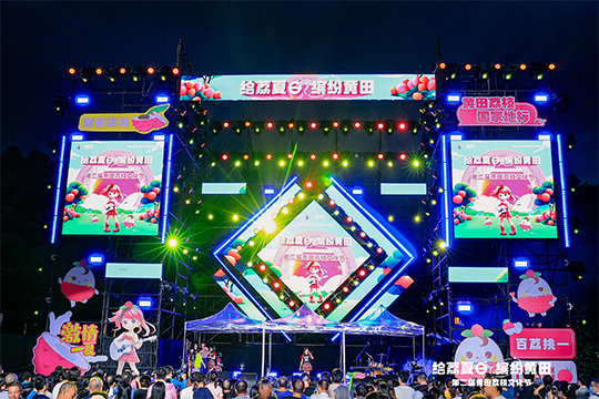 黄田荔枝火出圈！“文化+艺术”赋能农产品绽放新光彩